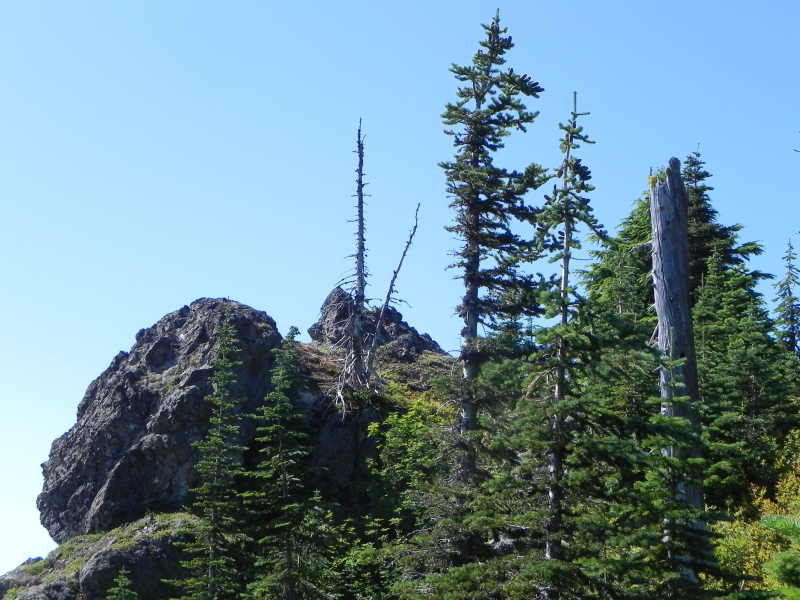 DSCN5639.JPG